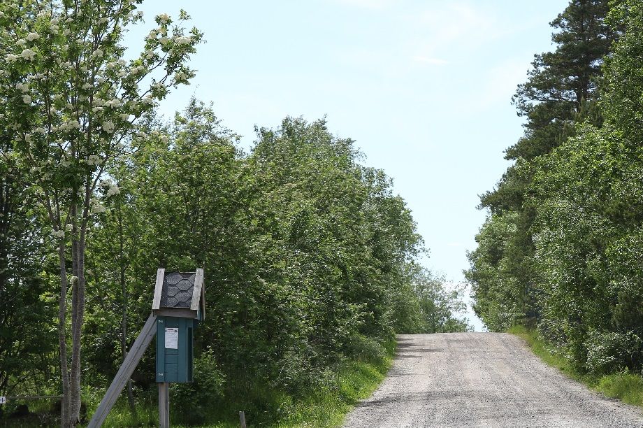 Start og mål er felles for alle tre løypene, og det er her det skjer hver torsdag og søndag i sommer halvåret.